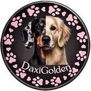 Daxigolden Logo